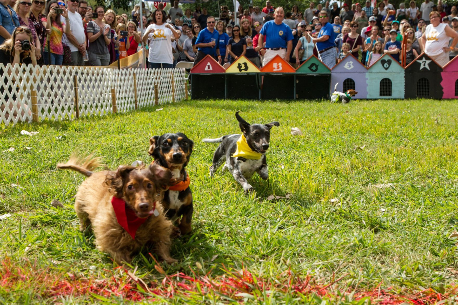 St. Charles Oktoberfest celebration